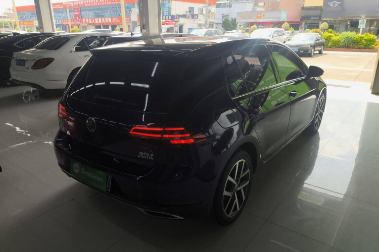 大众 高尔夫 2018款  230TSI 自动豪华型车身外观6005