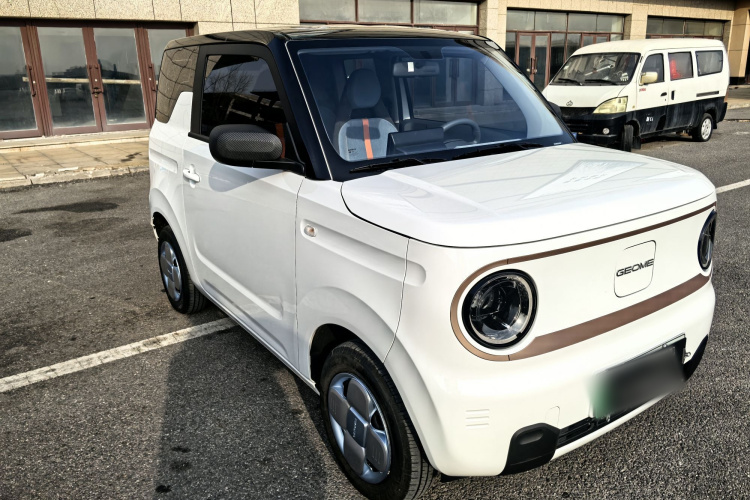 吉利银河 2024款 熊猫mini 200km 耐力熊车身外观6007