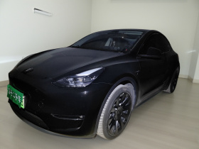 特斯拉 Model Y 2024款 长续航全轮驱动版
