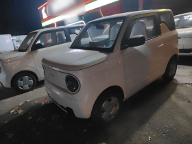 吉利银河 2024款 熊猫mini 200km 耐力熊