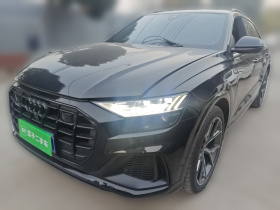 奥迪Q8 2021款 55 TFSI 尊享动感型