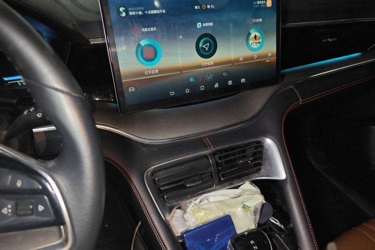 比亚迪 宋PLUS 2020款 1.5T 自动尊贵型局部细节16