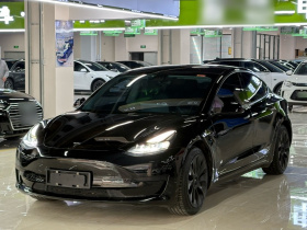 特斯拉 Model 3 2021款 标准续航后驱升级版