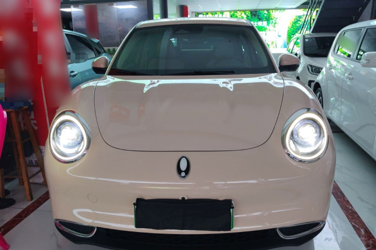 欧拉好猫 2023款 401km标准续航 豪华型 磷酸铁锂车身外观2