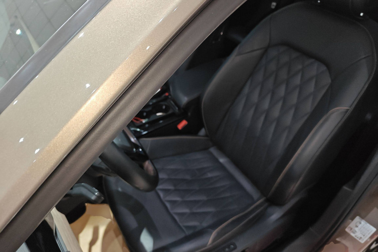 大众 帕萨特 2020款 380TSI 旗舰版 国VI局部细节19