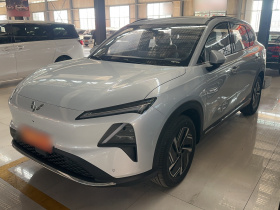 五菱汽车 五菱星光S 2025款 510km 领航型