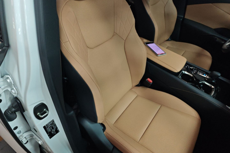 雷克萨斯RX 2023款 350h 两驱悦享版局部细节41