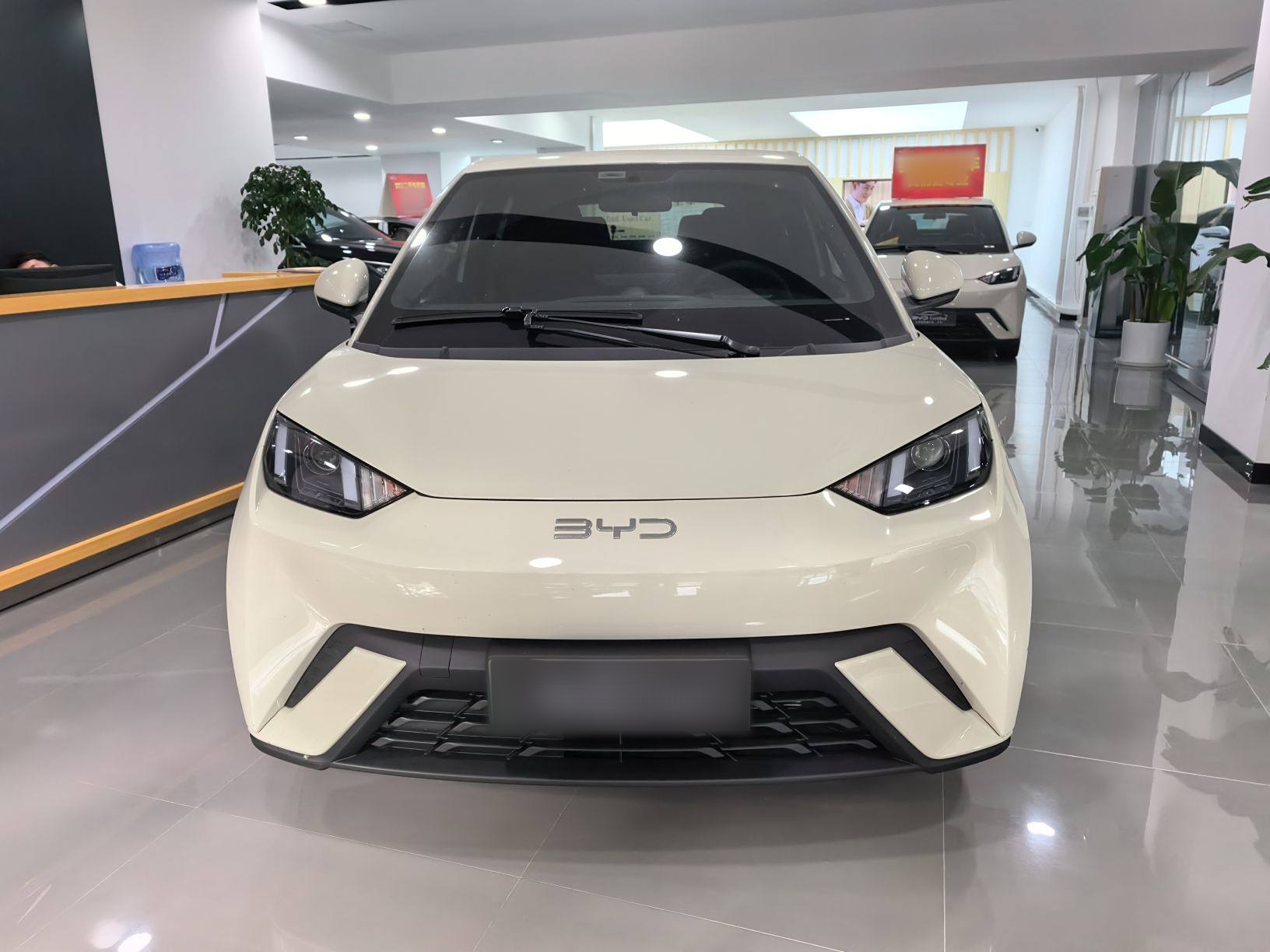 比亚迪 海鸥 2025款 305km 活力版