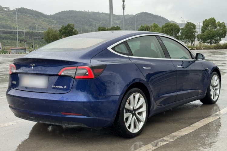 特斯拉 Model 3 2019款 标准续航后驱升级版车身外观6010