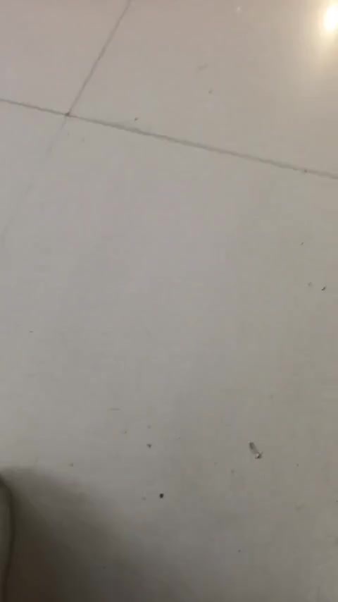 东风纳米 纳米01 2024款 330 Plus智+讲解1