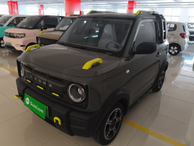 吉利银河 2025款 210km 熊猫骑士