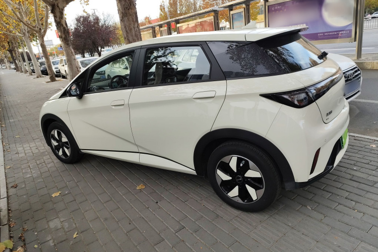 比亚迪 海豚 2025款 420km 自由版车身外观6003