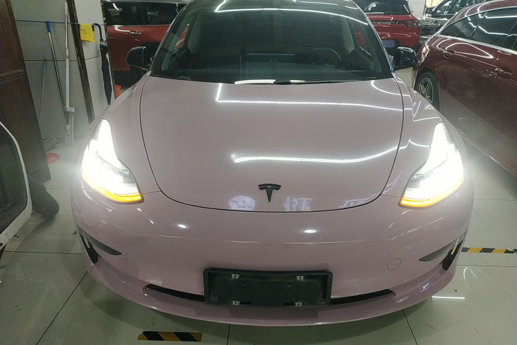 特斯拉 Model 3(进口) 2019款 长续航后驱版车身外观2