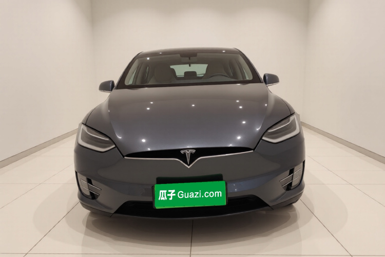 特斯拉 Model X 2019款 长续航版车身外观2