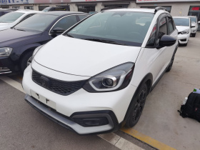 本田 LIFE 2021款 1.5L CVT CRO-SS灵趣版