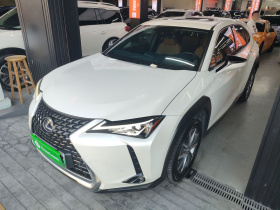 雷克萨斯UX新能源 2020款 300e 纯·悦版