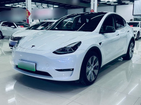 特斯拉 Model Y 2021款 标准续航后驱版