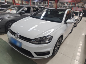 大众 高尔夫 2016款 1.4TSI 自动R-Line