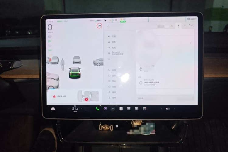 特斯拉 Model 3 2020款 改款 标准续航后驱升级版局部细节16