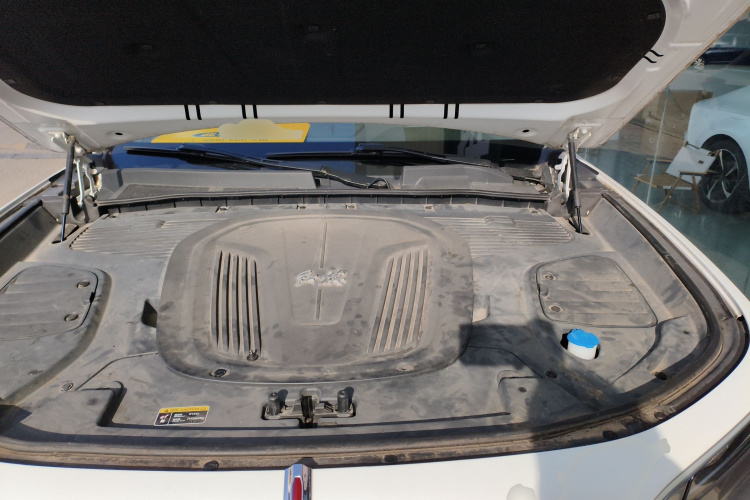 红旗E-HS9 2021款 510km 旗领版 四座局部细节24