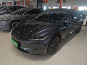 特斯拉 Model 3 2023款 后轮驱动版