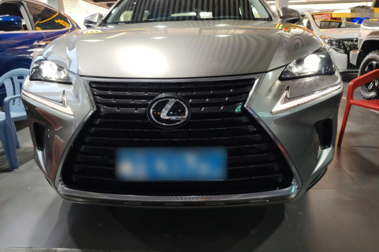 雷克萨斯NX 2018款 300 前驱 锋行版车身外观2