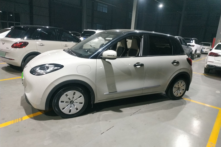 五菱汽车 五菱缤果 2023款 333km 快享款车身外观6003