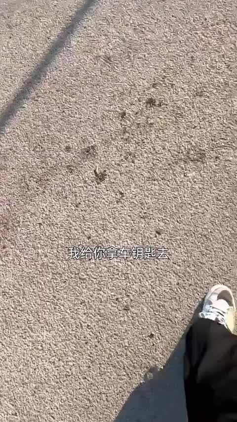 奔驰V级 2020款 V 260 L 长轴距豪华版讲解2