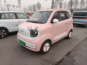 奔腾小马 2024款 170km 元气马