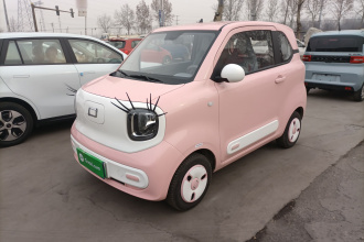 奔腾小马 2024款 170km 元气马