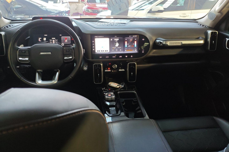 哈弗大狗 2021款 1.5T DCT两驱边牧版中控内饰12