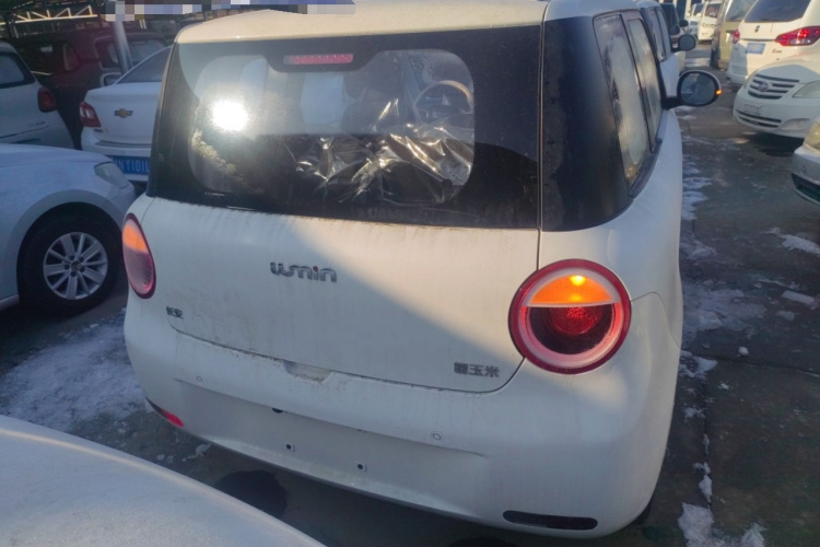 长安启源 长安Lumin 2026款 宝藏版 301km 臻爱米 宁德车身外观6