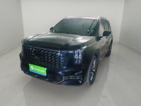 广汽传祺 传祺GS8 2022款 领航系列 2.0TGDI 两驱豪华智联版（七座）