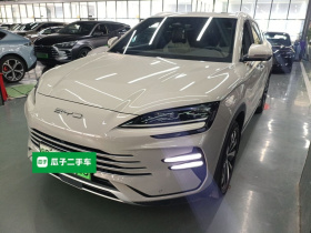 比亚迪 宋PLUS新能源 2023款 冠军版 DM-i 110KM 旗舰型