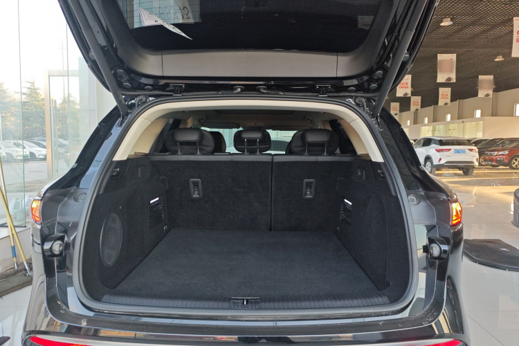 岚图汽车 岚图FREE 2021款 四驱标准增程版局部细节23