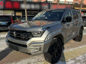 坦克400 2025款 2.4T 柴油版