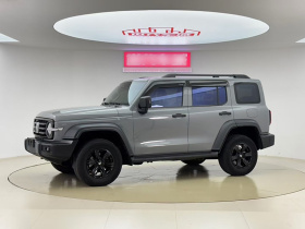 坦克300 2021款 越野版 2.0T 征服者