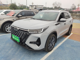 奇瑞 瑞虎8 PRO 2024款 冠军版 290T 两驱巅峰版 7座