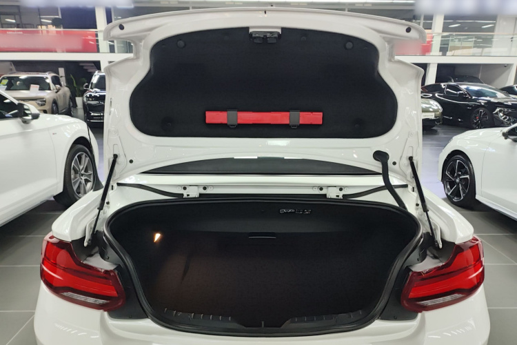 宝马2系(进口) 2019款 225i 敞篷轿跑车 运动设计套装局部细节23