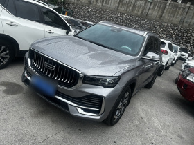 吉利汽车 星越L 2024款 2.0TD 高功自动两驱云起版