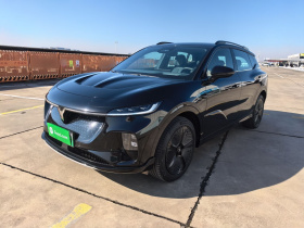 岚图汽车 岚图知音 2024款 四驱全球版