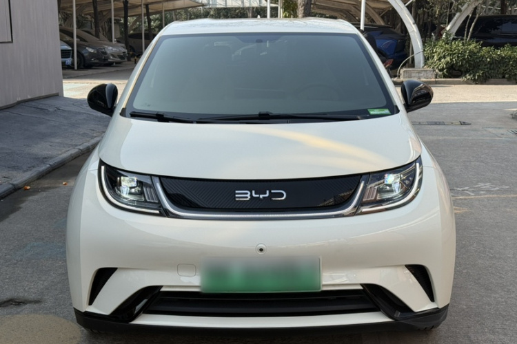 比亚迪 海豚 2024款 荣耀版 420km 自由版车身外观6005