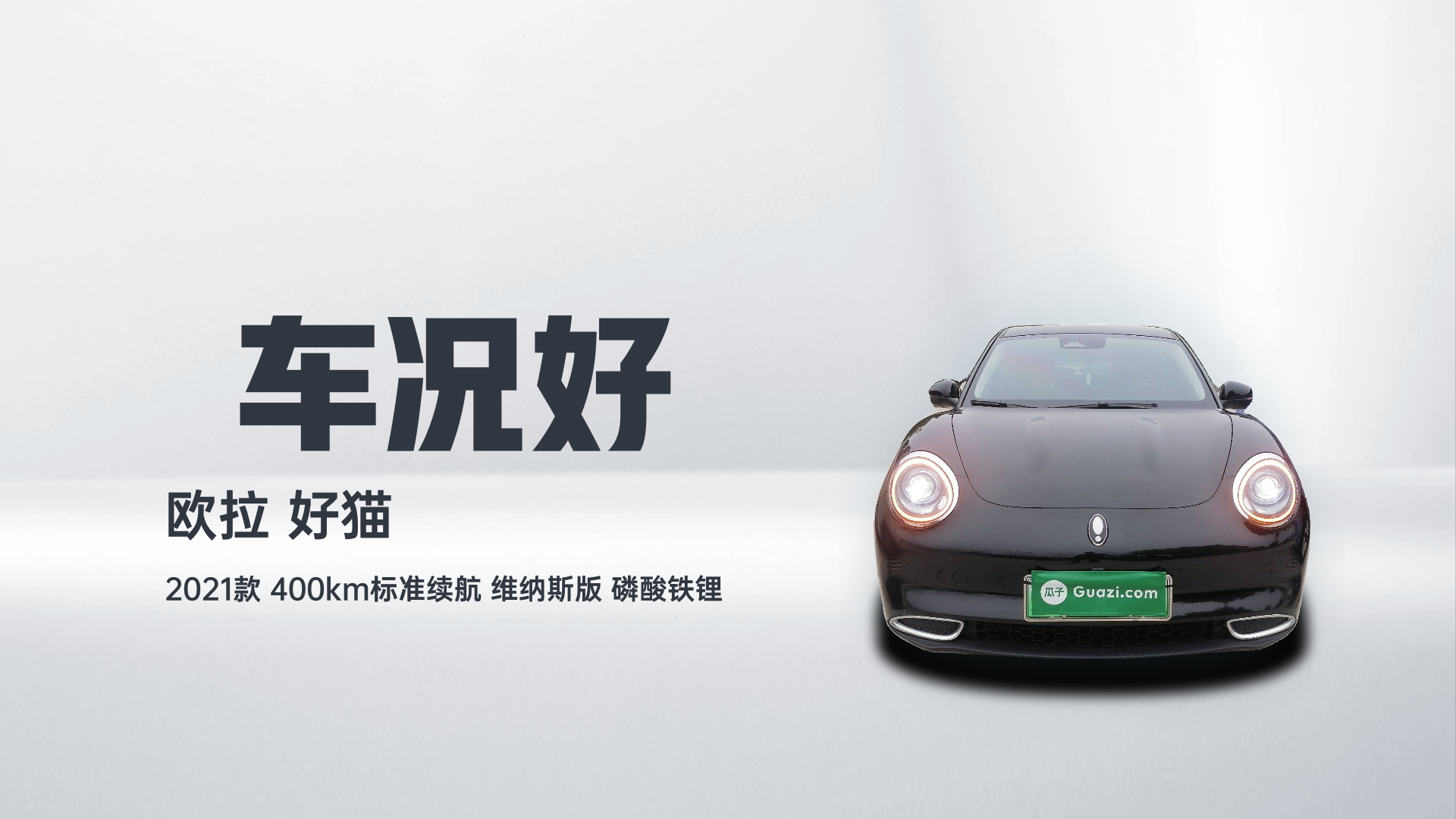 欧拉好猫 2021款 400km标准续航 维纳斯版 磷酸铁锂解读1