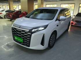 比亚迪 夏 2025款 DM-i 1.5T 180km 超越型