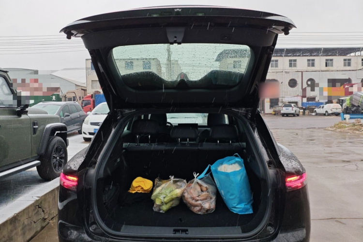 岚图汽车 岚图知音 2024款 长续航超充版机舱底盘23