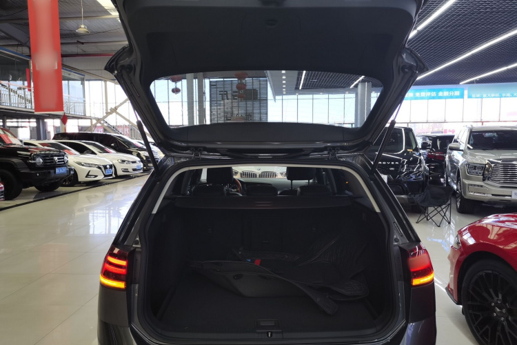 大众 高尔夫(进口) 2019款 1.8TSI 旅行版机舱底盘23