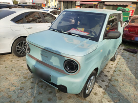 吉利银河 2024款 熊猫mini 200km 耐力熊