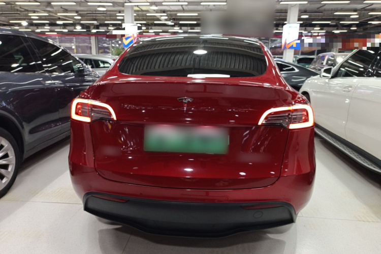 特斯拉 Model Y 2022款 改款 长续航全轮驱动版车身外观6