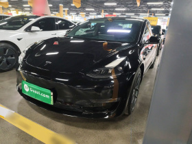 特斯拉 Model 3 2021款 Performance高性能全轮驱动版