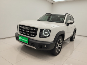 哈弗大狗 2021款 1.5T DCT两驱边牧版